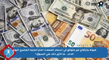 هبوط وارتفاع غير متوقع في أسعار العملات أمام الجنيه المصري اليوم الأحد.. ما تأثير ذلك على السوق؟